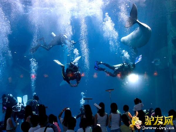 曲江海洋极地公园3.jpg